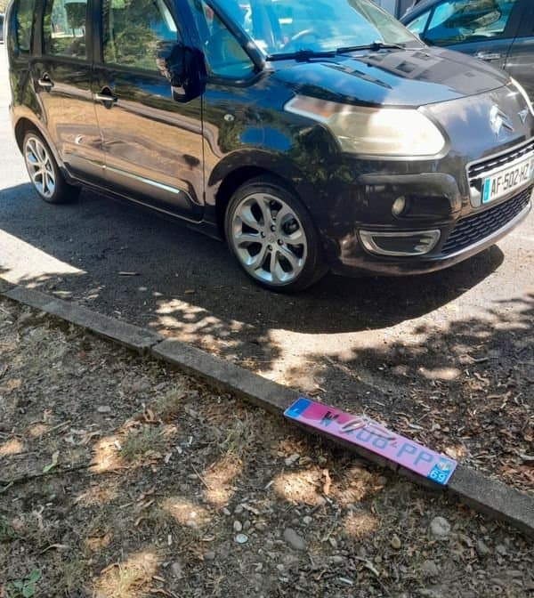 C3 Picasso 2010 2